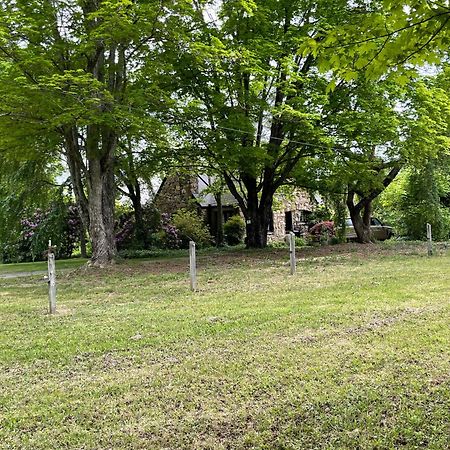 Asheville Urban Farmhouse Entire Home 4 Mi To Dt エクステリア 写真