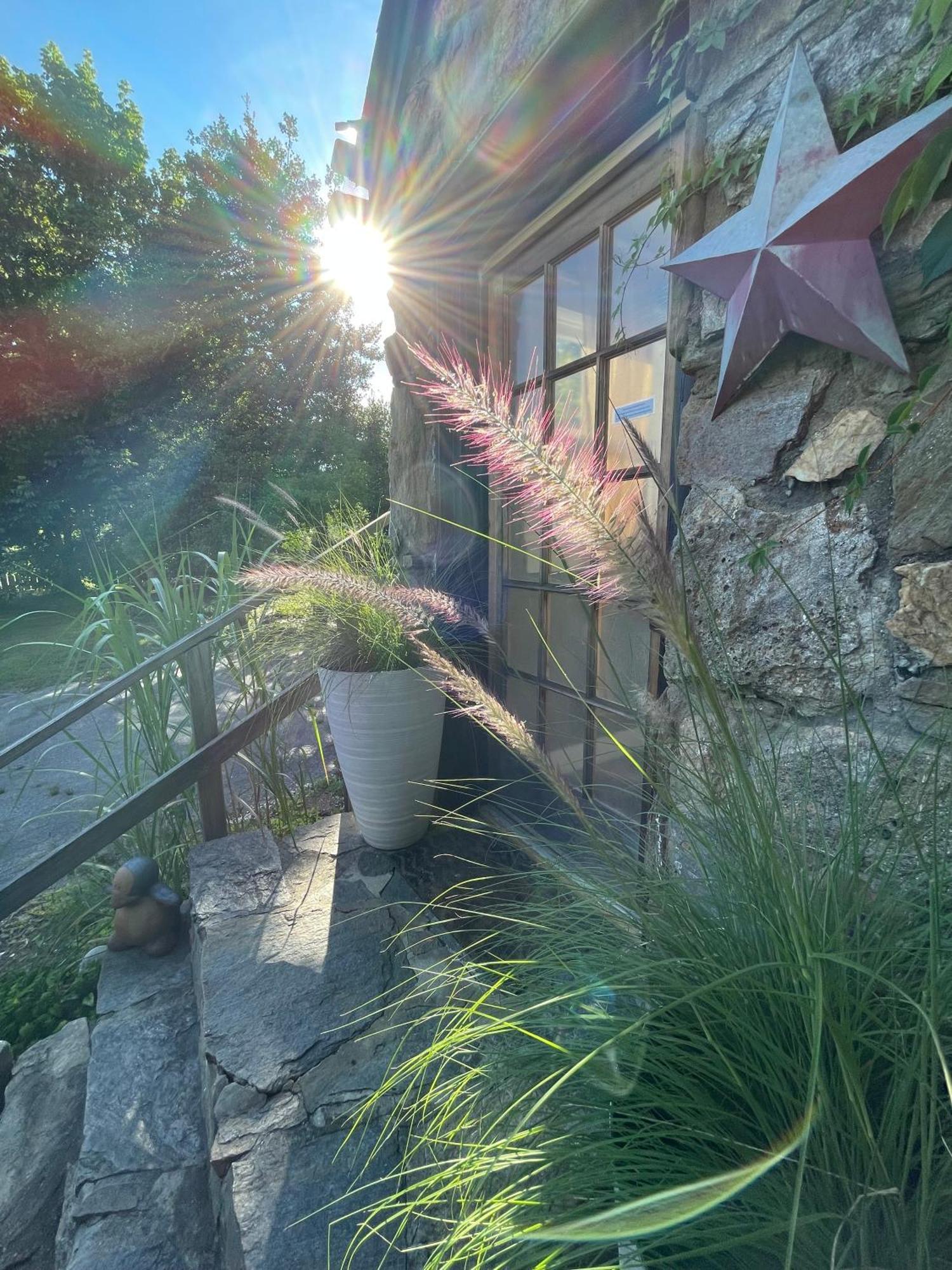 Asheville Urban Farmhouse Entire Home 4 Mi To Dt エクステリア 写真